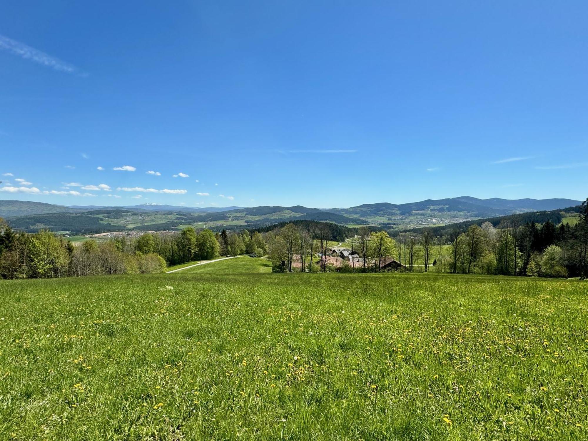 Apartment Waldlerhof