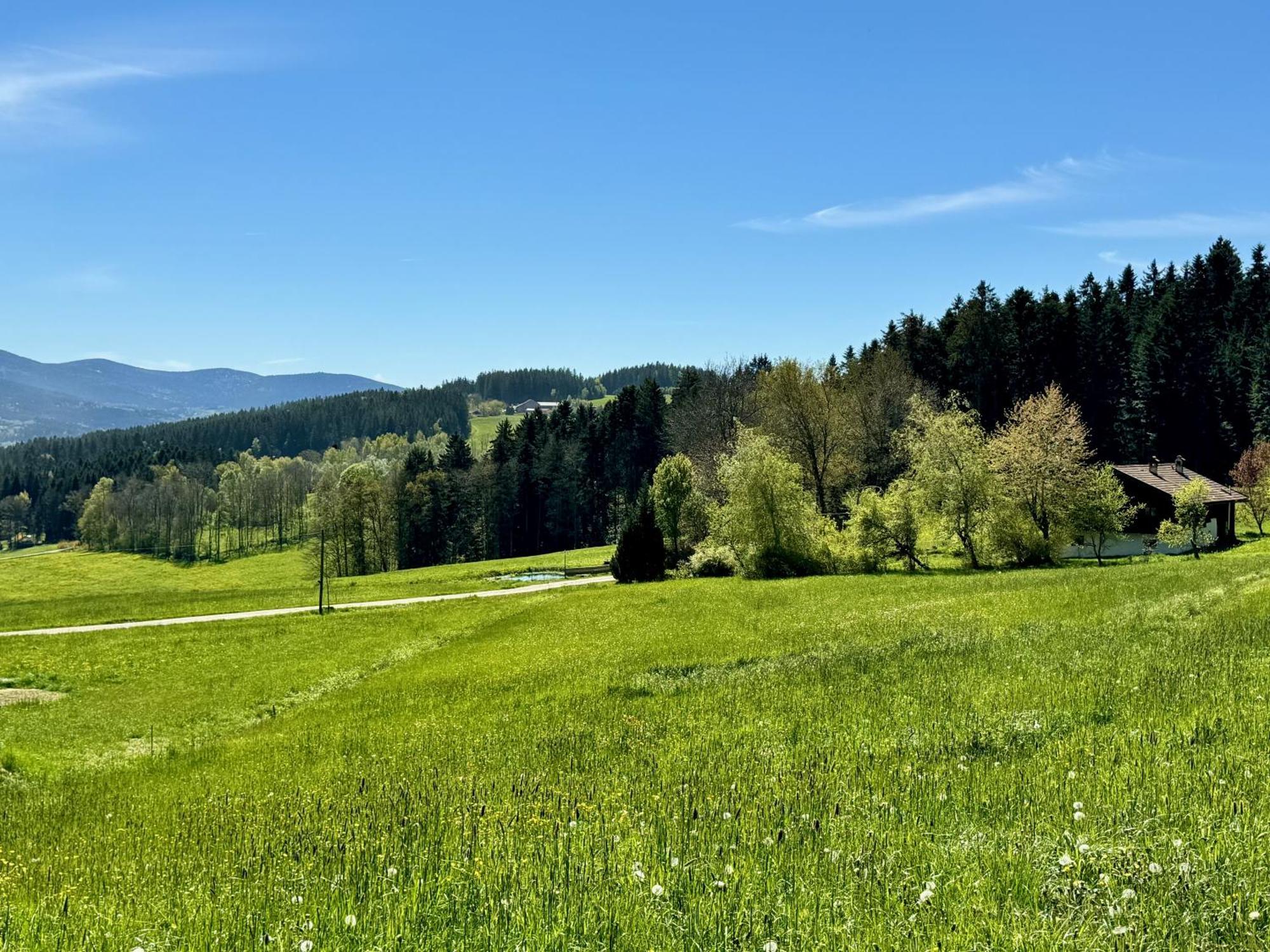 Appartement Waldlerhof Patersdorf